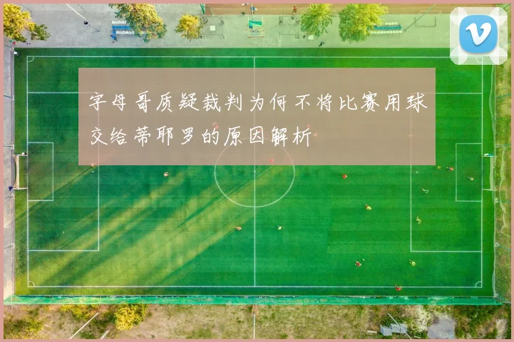 字母哥质疑裁判为何不将比赛用球交给蒂耶罗的原因解析