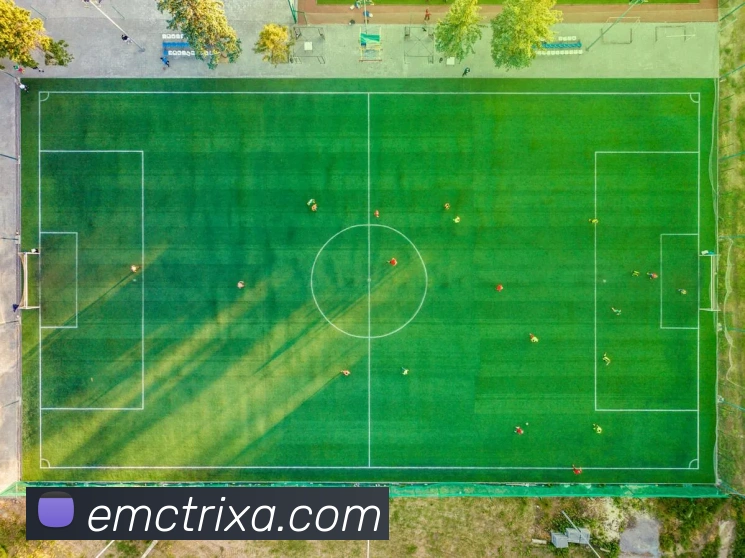 EMC体育平台生态图